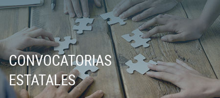 Convocatorias estatales